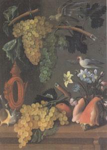 Juan de  Espinosa Still Life with Grapes (san 05)